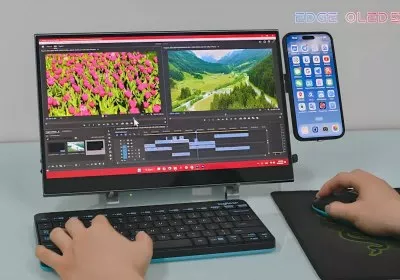 portable oled with video